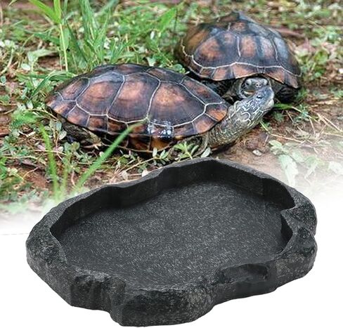 Reptile Water Dish Feeding Bowl, Plastic Shallow Reptile Gecko Feeder for Food And Water Feeding Dish Bowl for Lizards Feeding Dish(m-green) in Saudi Arabia