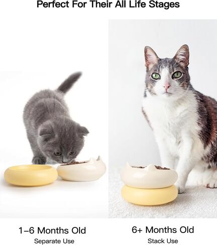 Ceramic Cat Bowls, 15°Tilted Wide Cat Food Dish and Water Bowl, Whisker Friendly 2 in 1 Ceramic Raised Cat Dishes for Indoor Cats Kitten, 2 Pack (White+Yellow) in Saudi Arabia