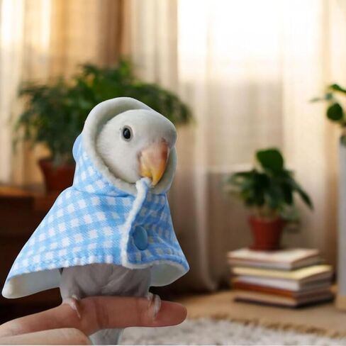 Bird Skateboard Costume, Clothes for Parrots, Costume for Birds and Mini Training Skateboard for Parrots, Bird Clothes, Parakeet Costume, Bird Toys For Parrots, Parrot Clothes for Birds (Blue) in Saudi Arabia