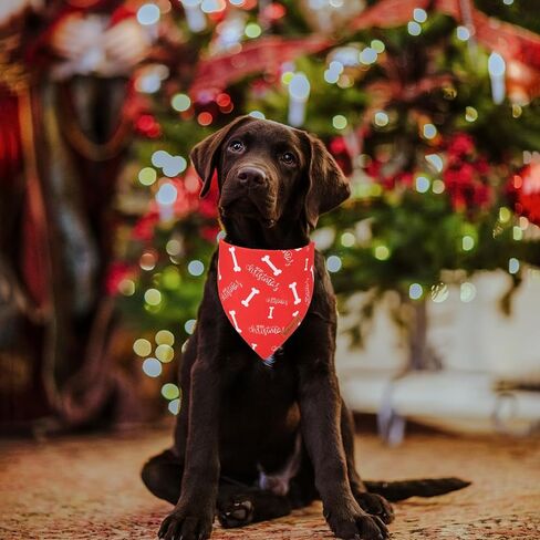 ADOGGYGO Christmas Dog Bandana, Red Green Merry Christmas Dog Scarf, Premium Durable Fabric, Adjustable Fit Dog Christmas Bandanas for Medium Large Dogs Pets (Large, Christmas) in Kuwait