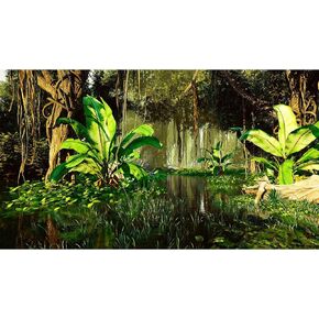 Tropical Rainforest Terrarium Background Foggy Stream Forest Aquarium Background Tropical Forest Terrarium Reptile Habitat Background Aquatic Plants Old Trees Fish Tank Background Decor Vinyl 48x24in