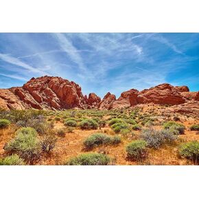 Reptile Habitat Background Desert Rocks Gobi Plants Background Blue Sky Incredibly Beautiful Nature Landscape Terrarium Background Rugged Terrain Aquarium Background Fish Tank Decor 60x24in