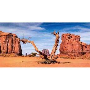 AWERT 36x18 inches Reptile Habitat Background Sky Oasis Mountain Cactus Sun and Desert Terrarium Background Polyester Background