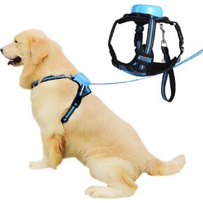 Dog Harness and Leash Set, Adjustable Reflective Oxford Dog Harness for Small Medium Dogs, Soft Padded Dog Vest Harness with Automatic Retractable Dog Leash (Small, Blue)