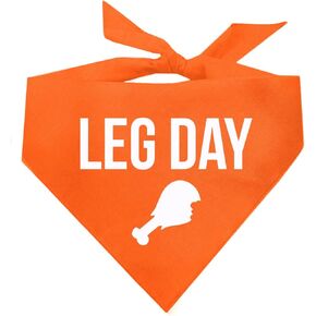 Leg Day Turkey Thanksgiving Day Dog Bandana (Orange, OS 181)