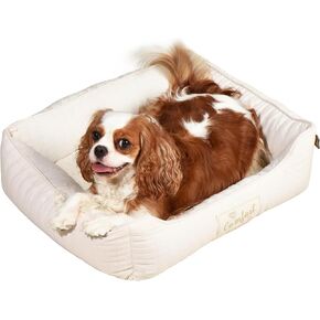 FluffyDream Dog Bed for Small Dog, Super Soft Pet Bed Furniture, Suitable for Dogs Up to 30lbs, 24'' x 20'', Sand