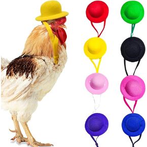 Rolin Roly 8PCS Chicken Hats Hen Mini Hat Round Small Hat Multicolor Tiny Pet Hat Chicken Helmet Accessories with Adjustable Elastic Strap for Rooster Duck Parrot Poultry (8Pcs Hats)