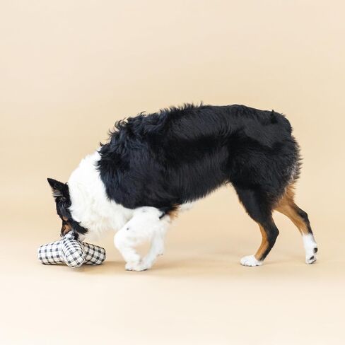 لعبة Fringe Studio "PULLING YOU IN MESSY FLOWER 3D Canvas Dog مع حبل قابل للشد، مجموعة PetShop (523039) in Saudi Arabia