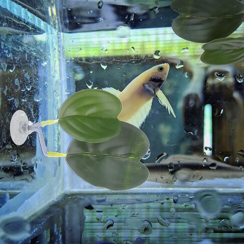 3 Pcs Betta Fish Leaf Pad Betta Fish Tank Accessories Aquarium Décor Simulating The Natural Habitat for Betta Spawning Grounds Breeding Resting Bed with Plastic Suction Cup in Saudi Arabia
