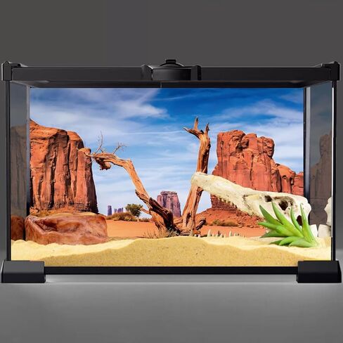 AWERT 36 × 18 بوصة خلفية موائل الزواحف السماء واحة جبل الصبار الشمس والصحراء تررم خلفية خلفية البوليستر in Kuwait