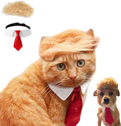 Pet Cat/Dog Blonde Wig with Tie - Iconic and Playful Toupee Hat, Cosplay Dress Up Clothing Costume Halloween Accessories (RedTie, M) in Saudi Arabia
