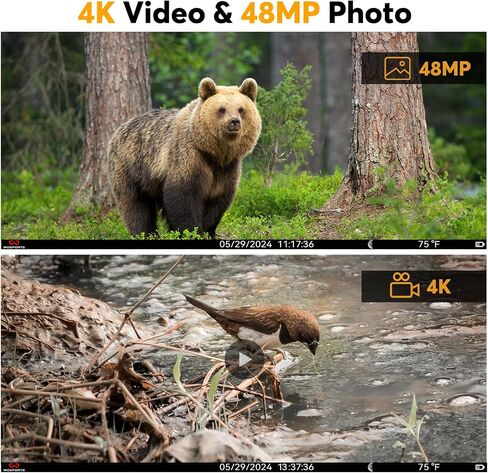 WOSPORTS Trail Camera, Full Color Night Vision Game Camera, Night for Color Hunting Camera, 48MP 4K Deer Camera, 100ft IP65 Waterproof 2.0''LCD for Outdoor Wildlife Monitoring (H29-B) in Saudi Arabia