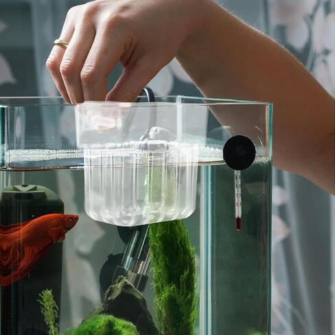 Aquarium Plant Holder, Aquatic Fish Tank Plant Holder with Hooks, Clear Aquatic Fishtank Planter Hanging Holder, Fish Tank Decorations Aquarium Decor in Saudi Arabia