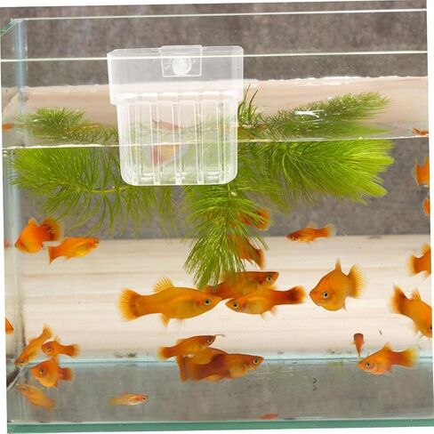 Aquarium Plant Holder, Aquatic Fish Tank Plant Holder with Hooks, Clear Aquatic Fishtank Planter Hanging Holder, Fish Tank Decorations Aquarium Decor in Saudi Arabia