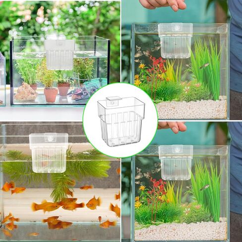 Aquarium Plant Holder, Aquatic Fish Tank Plant Holder with Hooks, Clear Aquatic Fishtank Planter Hanging Holder, Fish Tank Decorations Aquarium Decor in Saudi Arabia