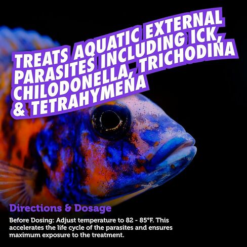 Fritz Aquatics FixIck Treatment for Fresh and Saltwater Fish (16 oz) in Saudi Arabia
