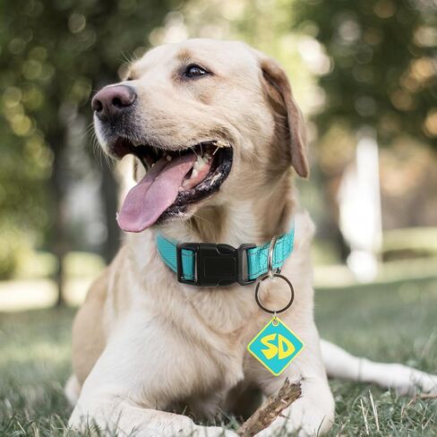 Dog Halloween Costume SD Tag with Nylon Adjustable Collar for Small Medium Large Puppy Funny Pet Cosplay Supplies M in Saudi Arabia
