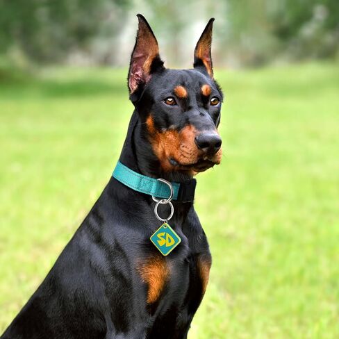 Dog Halloween Costume SD Tag with Nylon Adjustable Collar for Small Medium Large Puppy Funny Pet Cosplay Supplies M in Saudi Arabia