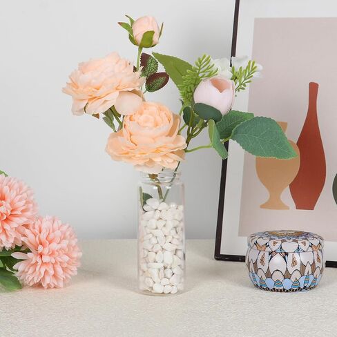 برطمانات زجاجية صغيرة بأغطية من الفلين 120 مل، مجموعة برطمانات زجاجية صغيرة مكونة من 6 قطع، زجاجات حبوب زجاجية بأغطية، برطمانات رمل، برطمانات تعويذة، برطمانات صدف، زجاجات زجاجية صغيرة للحرف اليدوية، الديكور، هدايا الحفلات in Kuwait