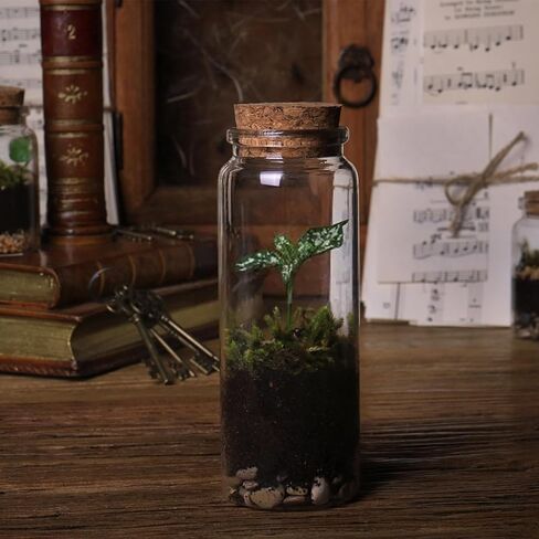 برطمانات زجاجية صغيرة بأغطية من الفلين 120 مل، مجموعة برطمانات زجاجية صغيرة مكونة من 6 قطع، زجاجات حبوب زجاجية بأغطية، برطمانات رمل، برطمانات تعويذة، برطمانات صدف، زجاجات زجاجية صغيرة للحرف اليدوية، الديكور، هدايا الحفلات in Kuwait