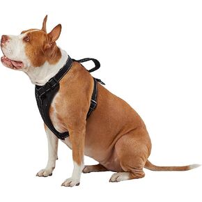 KONG Max Ultra Durable Neoprene Padded Chest Plate Dog Harness Offered by The Barker Company (Black, Medium)