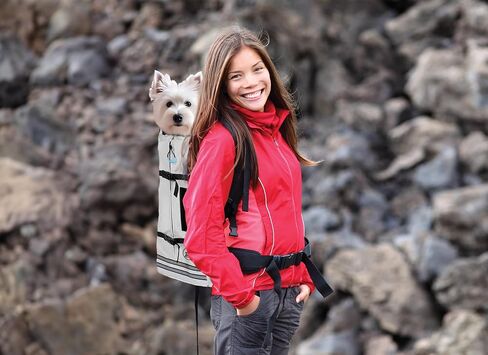Dog Backpack Carrier - Dog Carrier Backpack with Ventilated Mesh Design - Backpack Dog Carrier to Carry Dogs with Adjustable Lap & Chest Straps - Dog Backpack for Hiking & Travel - Medium, Black in Saudi Arabia