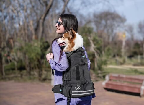 حقيبة ظهر للكلاب - حقيبة ظهر لحمل الكلاب بتصميم شبكي جيد التهوية - حقيبة ظهر لحمل الكلاب مع أحزمة كتف وصدر قابلة للتعديل - حقيبة ظهر للكلاب للتنزه سيرًا على الأقدام والسفر - مقاس متوسط، أسود in Kuwait