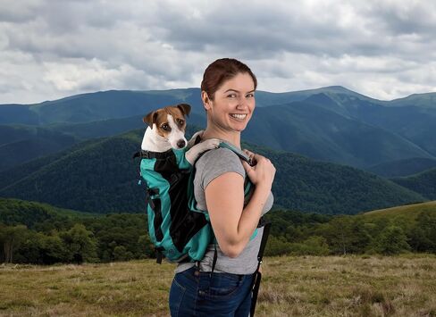 Dog Backpack Carrier - Dog Carrier Backpack with Ventilated Mesh Design - Backpack Dog Carrier to Carry Dogs with Adjustable Lap & Chest Straps - Dog Backpack for Hiking & Travel - Medium, Black in Saudi Arabia