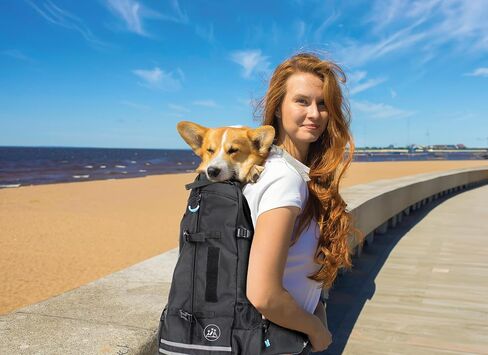 Dog Backpack Carrier - Dog Carrier Backpack with Ventilated Mesh Design - Backpack Dog Carrier to Carry Dogs with Adjustable Lap & Chest Straps - Dog Backpack for Hiking & Travel - Medium, Black in Saudi Arabia