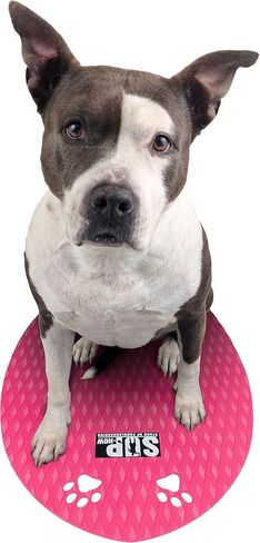 وسادة تثبيت على شكل لوح تجديف للكلب مع لاصق 3M in Kuwait