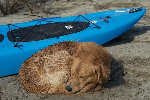 وسادة تثبيت على شكل لوح تجديف للكلب مع لاصق 3M in Kuwait