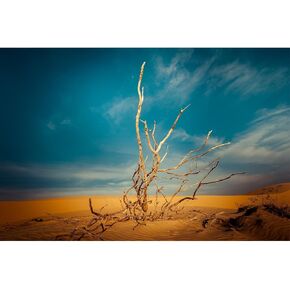 Reptile Habitat Background Dead Standing Tree Nature Landscape Backdrop Orange Desert Scenery Terrarium Background Aquarium Background Durable Polyester Background Vinyl 36x20in