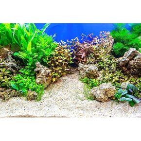 Aquarium Background Underwater Grass Leaves with Pebble Aquarium Backdrop Vivid and Fresh Green Aquatic Plant Stone River Bed and Lake Fish Tank Background Decor Vinyl 48x24in