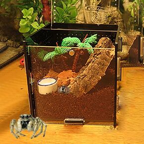 MANON ROSA Jumping Spider Enclosure - Acrylic Reptile Terrarium Box Kit with Dropper Tongs Ecological Habitat Decor Accessories for Tarantulas Scorpions Bug Insects Mantises (White)