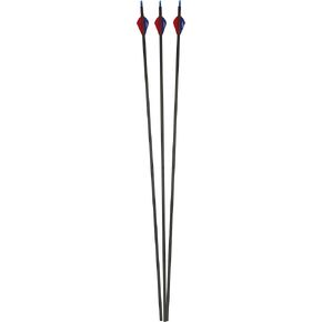 SAS 30" 350 Carbon Arrows with 2" Vanes - 12/Pack for Archery Bows
