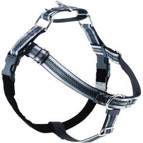 2 Hounds Design 1" Small Reflective Black Harness Package