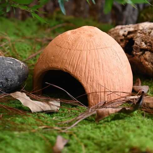 Flushbay الزواحف يختبئ كوخ بقعة الكهف مخبأ البيت جوز الهند الطين الطبيعي جلود الزواحف وكهف ليوبارد أبو بريص التنين الملتحي الأفعى السحلية البرمائيات مخبأ تررم ديكور الموائل in Kuwait