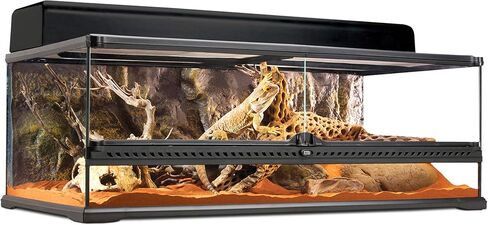 Exo Terra Hagen Exo Terra Short All Glass Terrarium، 36 × 18 × 12 بوصة in Kuwait