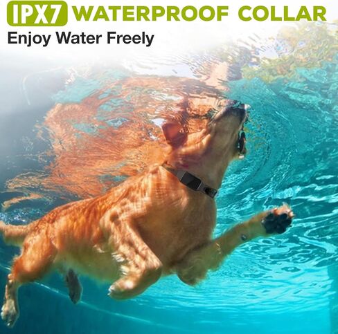 Dog Training Shock Collar for Large Medium Dogs (20-150 lbs) with Vibration, Electric Shock, Beep, Security Lock Mode, IPX7 Waterproof Rechargeable Remote Trainer E-Collar-Black in Saudi Arabia