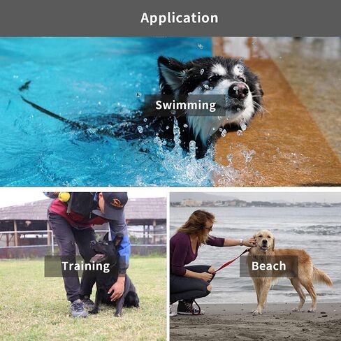 Heavy Duty Recall Great for Training Dog Leash with Swivel Lockable Hook and Comfortable, for Walking, Hunting, Camping, Backyard for Small Medium and Large Dogs Waterproof Black 10FT in Saudi Arabia
