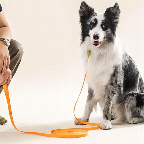 Heavy Duty Recall Great for Training Dog Leash with Swivel Lockable Hook and Comfortable, for Walking, Hunting, Camping, Backyard for Small Medium and Large Dogs Waterproof Black 10FT in Saudi Arabia