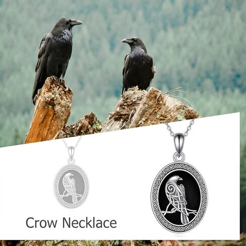 AXOMY Phoenix Necklace for Women 925 Sterling Silver Black Onyx Phoenix Pendant Necklace Phoenix Jewelry Gifts for Her, not known in Kuwait