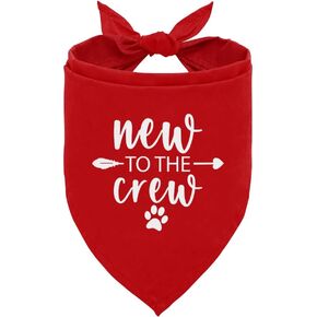 New to The Crew Dog Bandana, Puppy Bandana, New Puppy, Puppy Bandanas Boy, Gifts for New Puppy Owners, New Puppy Shopping List, Dog Bandana for Small Medium Dogs (C14) in Kuwait