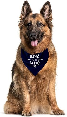 جديد في The Crew Dog Bandana، Puppy Bandana، New Puppy، Puppy Bandanas Boy، هدايا لأصحاب الجراء الجدد، قائمة تسوق جديدة للجراء، باندانا للكلاب الصغيرة والمتوسطة (C14) in Kuwait