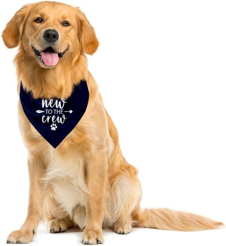 جديد في The Crew Dog Bandana، Puppy Bandana، New Puppy، Puppy Bandanas Boy، هدايا لأصحاب الجراء الجدد، قائمة تسوق جديدة للجراء، باندانا للكلاب الصغيرة والمتوسطة (C14) in Kuwait