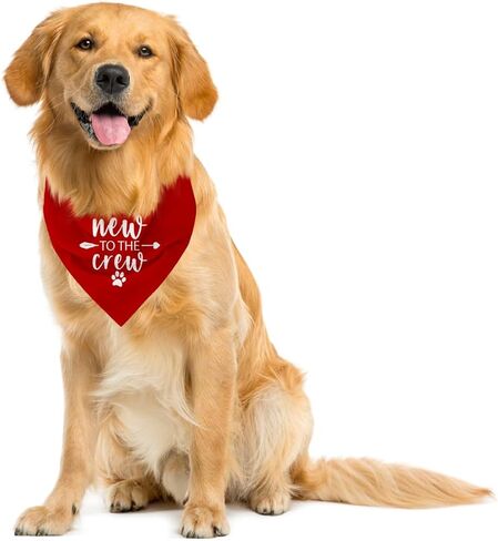 New to The Crew Dog Bandana, Puppy Bandana, New Puppy, Puppy Bandanas Boy, Gifts for New Puppy Owners, New Puppy Shopping List, Dog Bandana for Small Medium Dogs (C14) in Kuwait