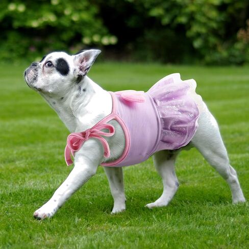 Dog Dress Dog Summer Clothes, French Bulldog Princess Dress Gauze Slip Skirt with Angel Wing Decor, Girl Cat Tutu Dress Puppy Party Dress, Dog Weeding Outfit Pet Apparel for Schnauzer Yorkshire Teddy in Saudi Arabia