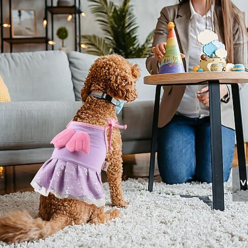 Dog Dress Dog Summer Clothes, French Bulldog Princess Dress Gauze Slip Skirt with Angel Wing Decor, Girl Cat Tutu Dress Puppy Party Dress, Dog Weeding Outfit Pet Apparel for Schnauzer Yorkshire Teddy in Saudi Arabia