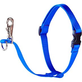 LupinePet Basics 1" Blue 26-38" No Pull Harness for Medium-Larger Dogs