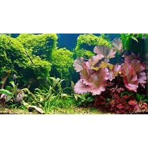 Aquarium Background Underwater Grass Leaves Pebble Aquarium Backdrop Vivid and Fresh Green Aquatic Plant Background Stone River Bed DeadWood Purple Leaves Tank Background Decor Vinyl 24x12in